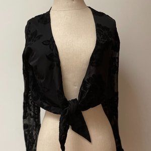 Burnout velvet sheer long sleeve top